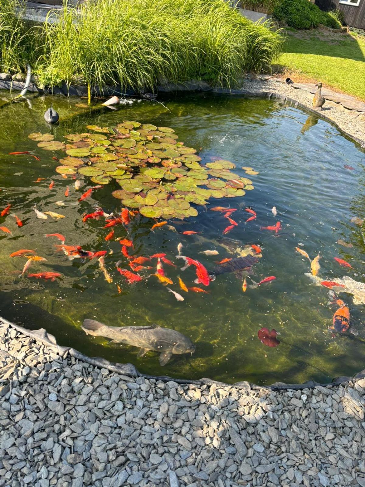 Le Clos Des Bansions Жале Екстериор снимка